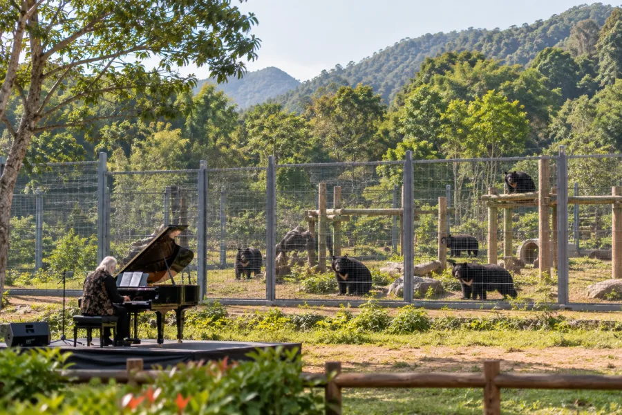 A Concert for Bears! 기사 대표 사진